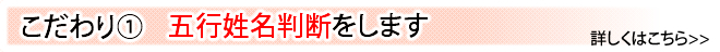 ポイント１五行姓名判断をします